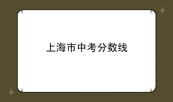 上海市中考分数线