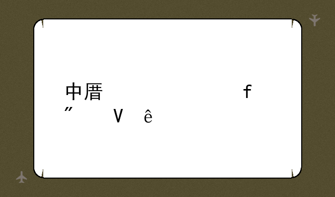 中原工学院分数线