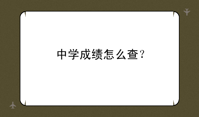 中学成绩怎么查？