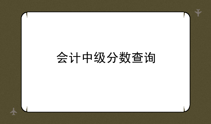 会计中级分数查询