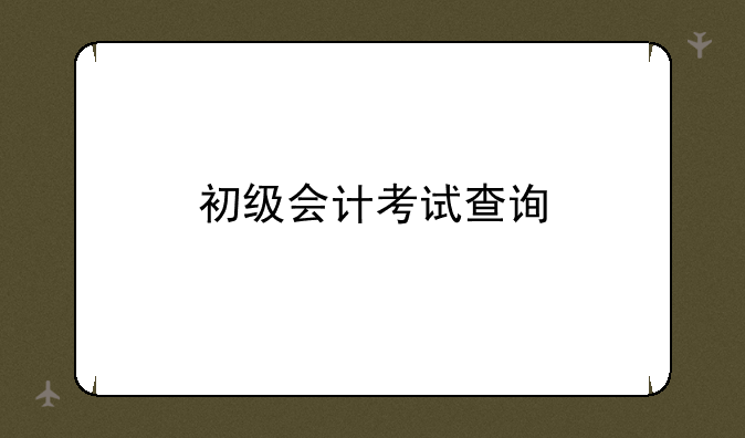 初级会计考试查询