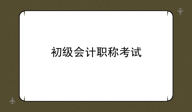 初级会计职称考试