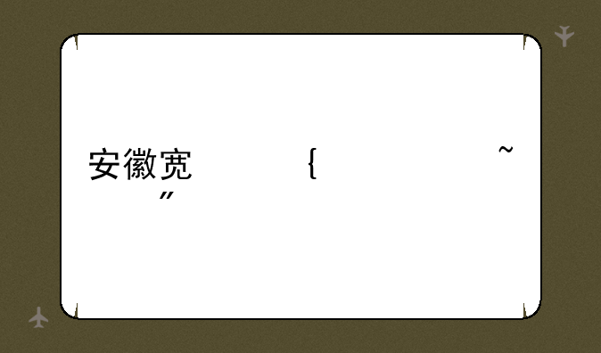 安徽宿州中考查分