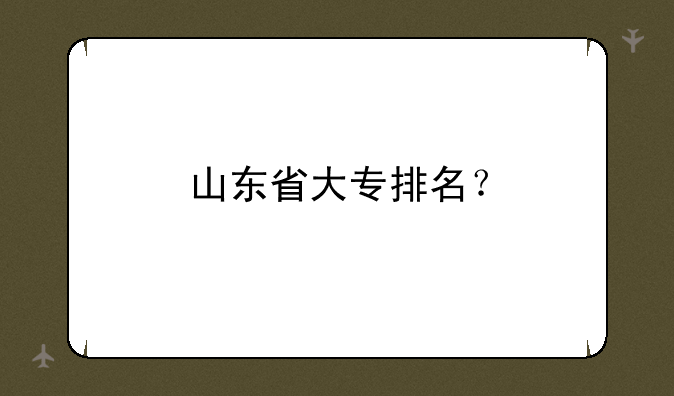 山东省大专排名？