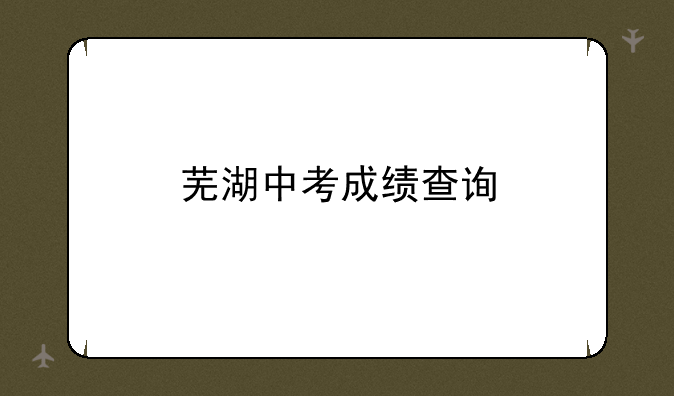 芜湖中考成绩查询