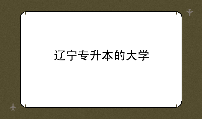 辽宁专升本的大学