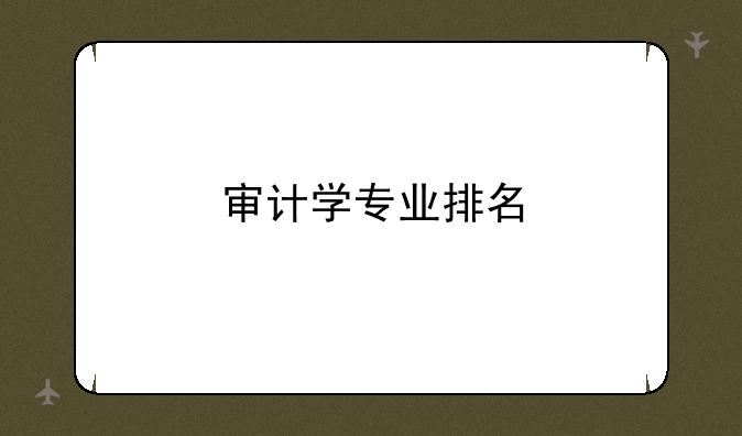 审计学专业排名