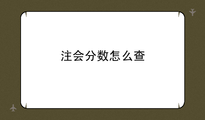 注会分数怎么查