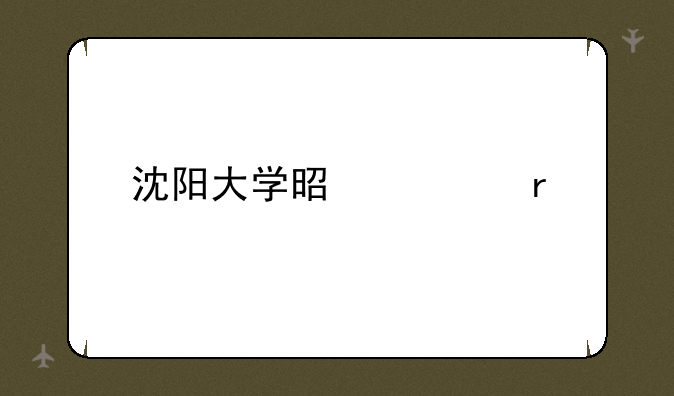沈阳大学是几本