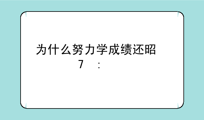 为什么努力学成绩还是上不去