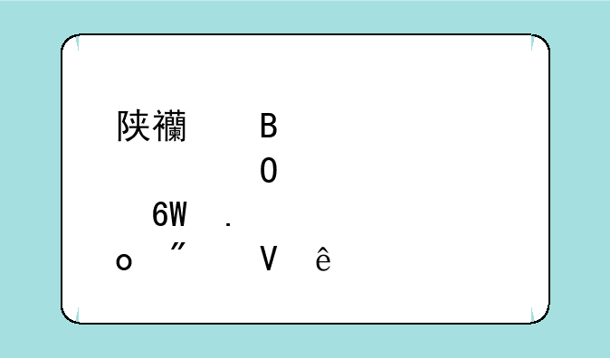 陕西理工大学体育单招分数线