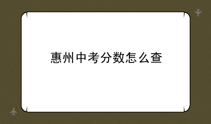 惠州中考分数怎么查