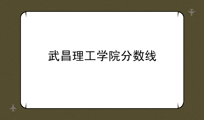 武昌理工学院分数线