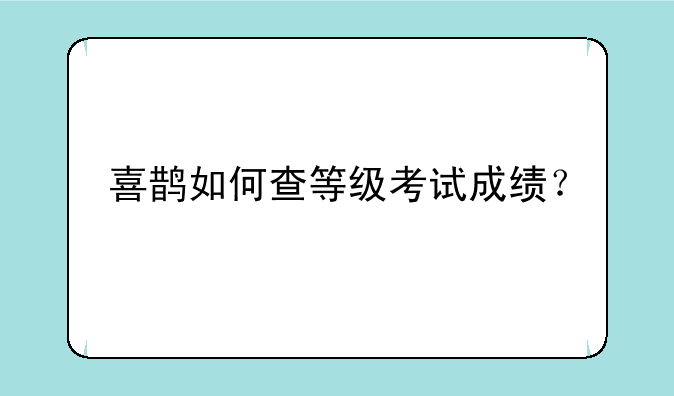 喜鹊如何查等级考试成绩？