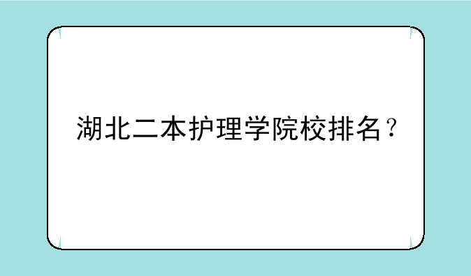 湖北二本护理学院校排名？