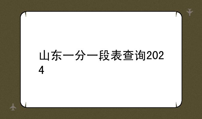 山东一分一段表查询2024